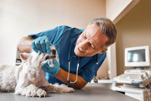 Best Emergency Tooth Extraction in Clendon, AR
